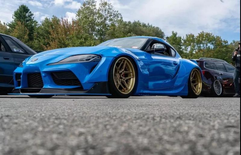 vossen 6.jpg
